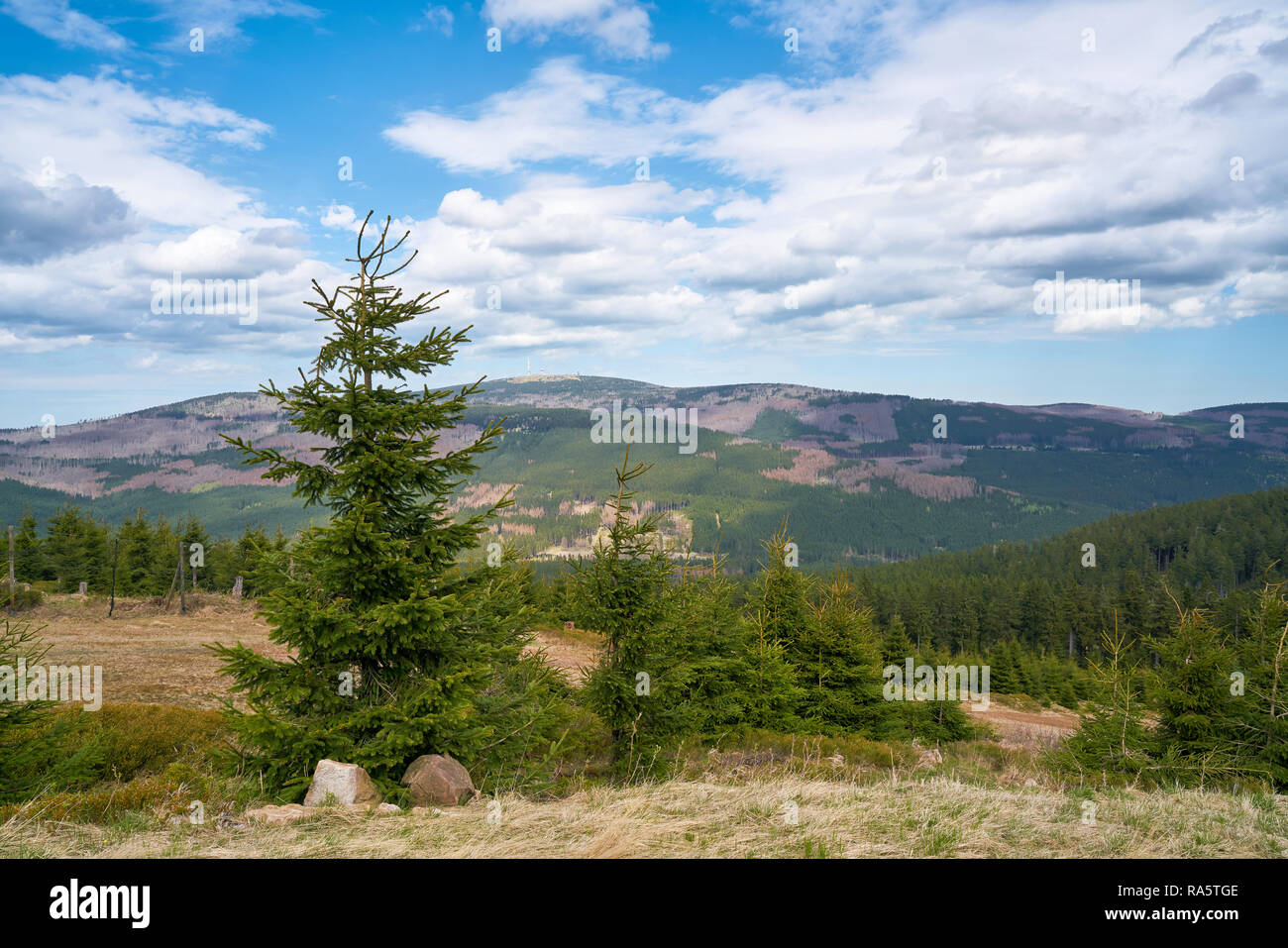 Vue depuis le Wurmberg au sommet du Brocken, dans le Parc National de Harz Banque D'Images