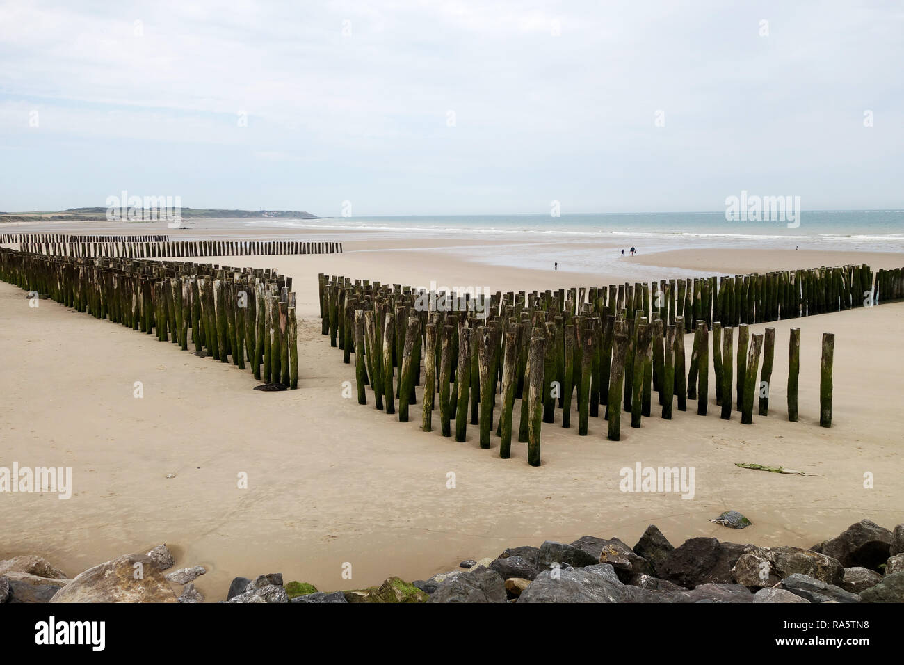 Des poteaux de défense de la mer pour protéger les dunes de sable de Wissant France Banque D'Images