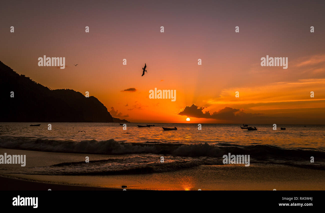 Tobago, Antilles, Caraïbes. Magnifique coucher de soleil sur l'océan, dans le village de pêcheurs de Castara avec les oiseaux de mer et les pélicans plongeant dans l'océan. Banque D'Images