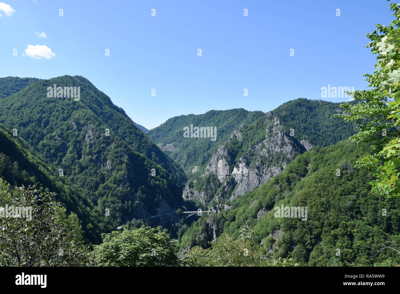 Mont Cetatea près de Château Poenari. La vallée de la rivière Arges, Roumanie. Banque D'Images