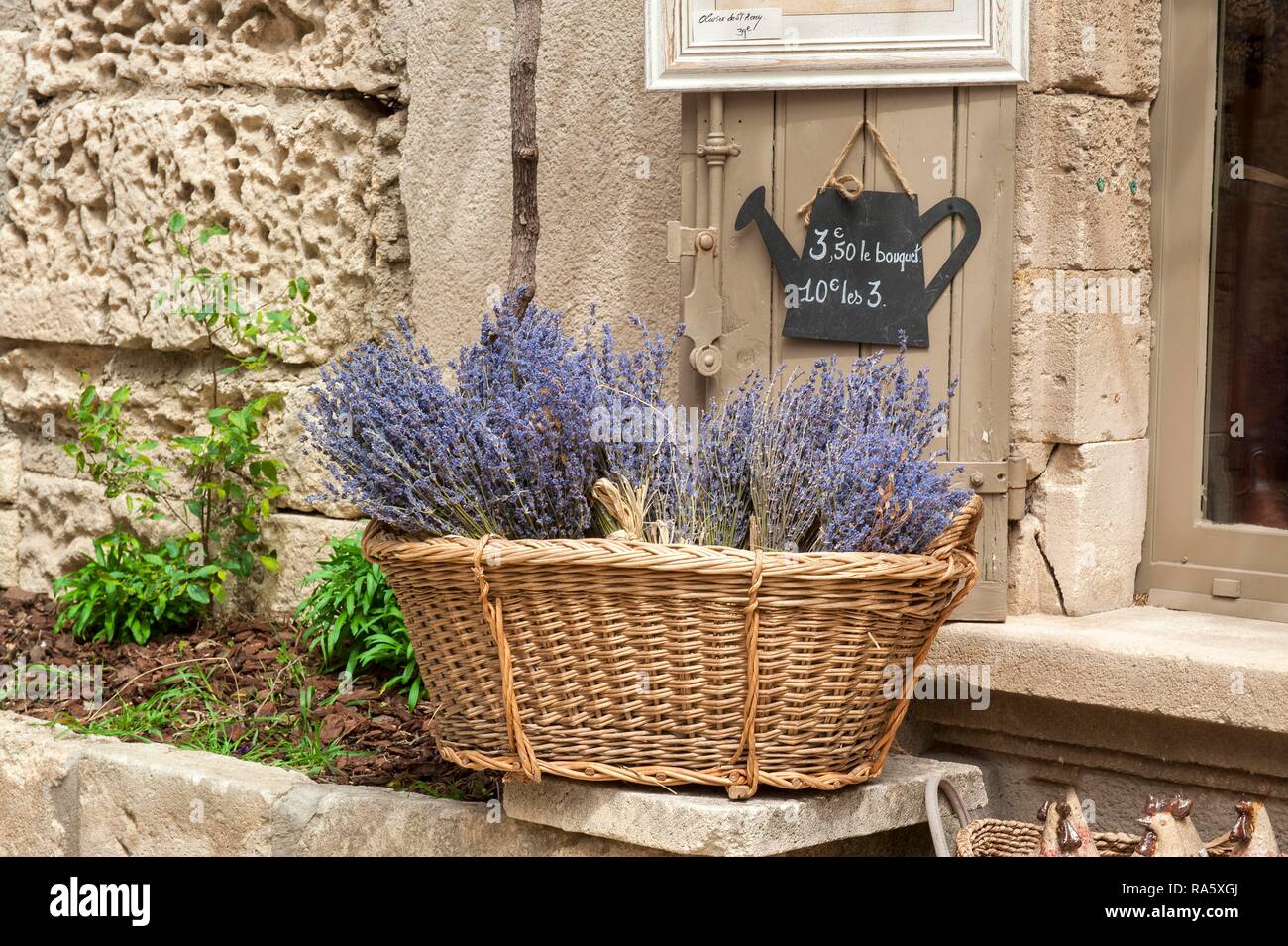 Panier rempli de lavande, le village des Baux de Provence, Bouches du  Rhône, Provence, France, Europe Photo Stock - Alamy