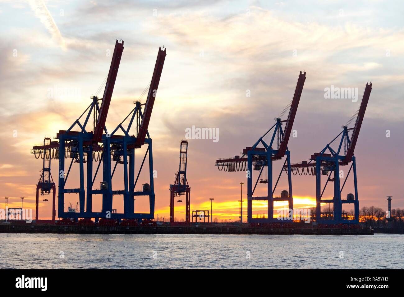 Portiques, Container Terminal Burchardkai, Hamburg-Port, Hambourg, Hambourg, Allemagne Banque D'Images