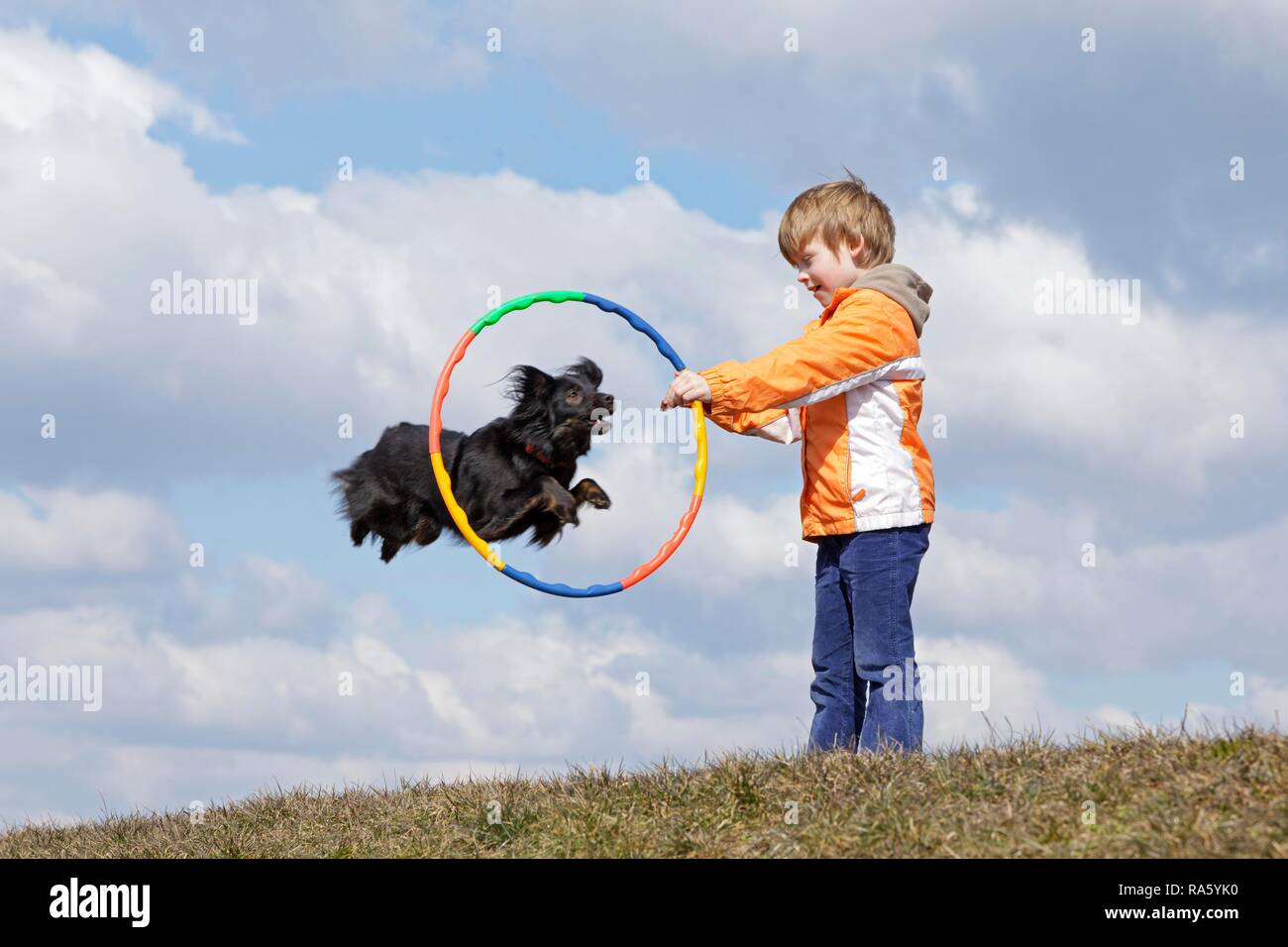 Chien sautant un cerceau tenu par un garçon, Allemagne Banque D'Images