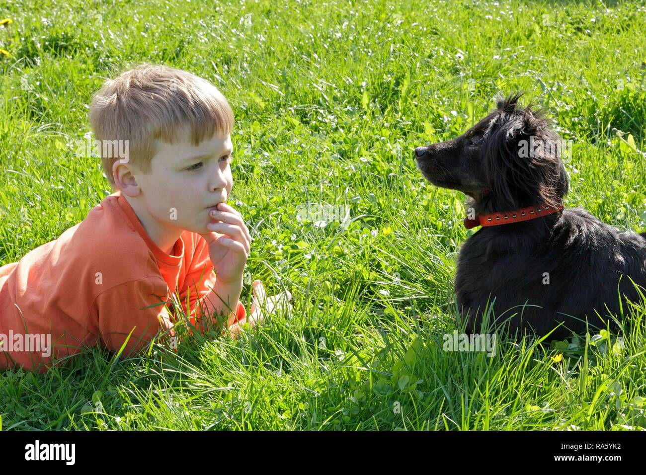 Petit garçon avec son chien, Lenschow, Mecklembourg-Poméranie-Occidentale, Allemagne Banque D'Images