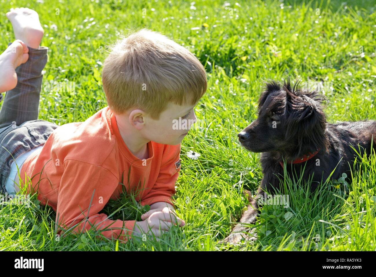 Petit garçon avec son chien, Lenschow, Mecklembourg-Poméranie-Occidentale, Allemagne Banque D'Images