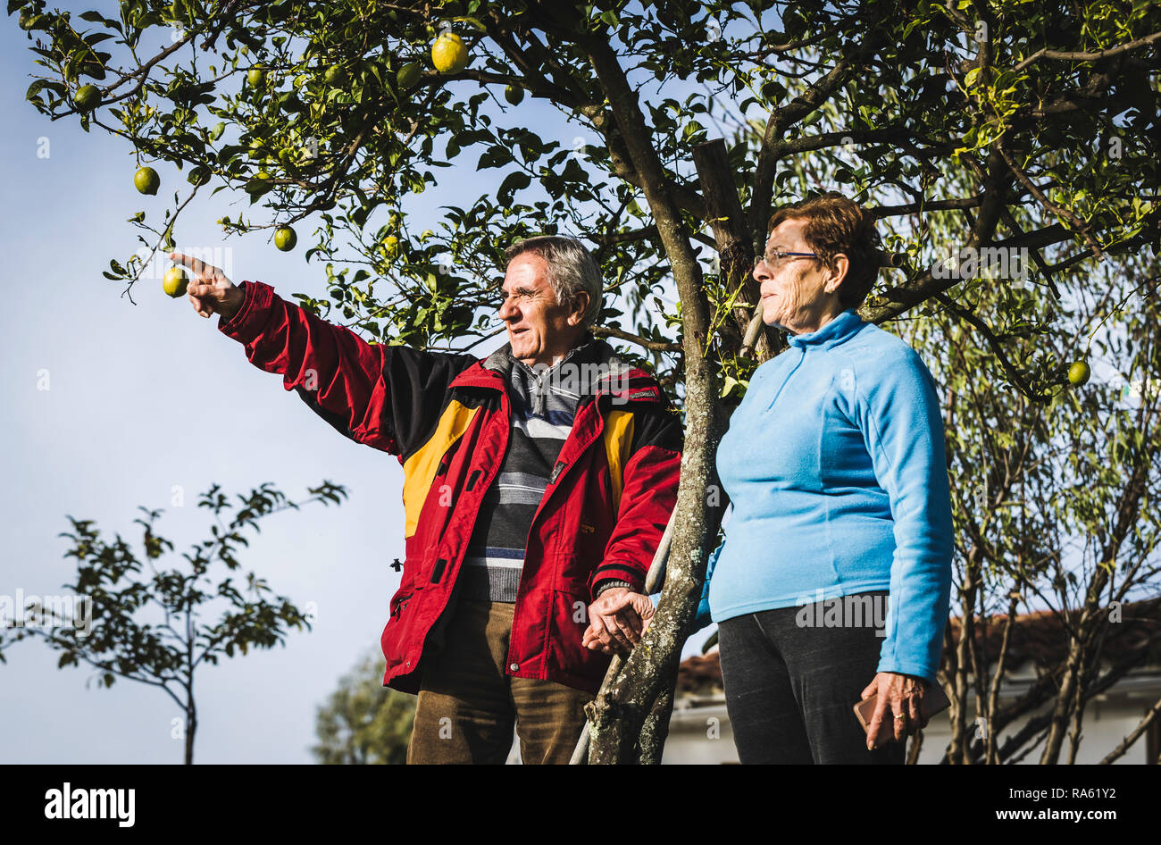 Vieux couple holding hands sous un arbre, en pointant l'homme plus âgé avec le doigt et la femme regarde dans cette direction Banque D'Images