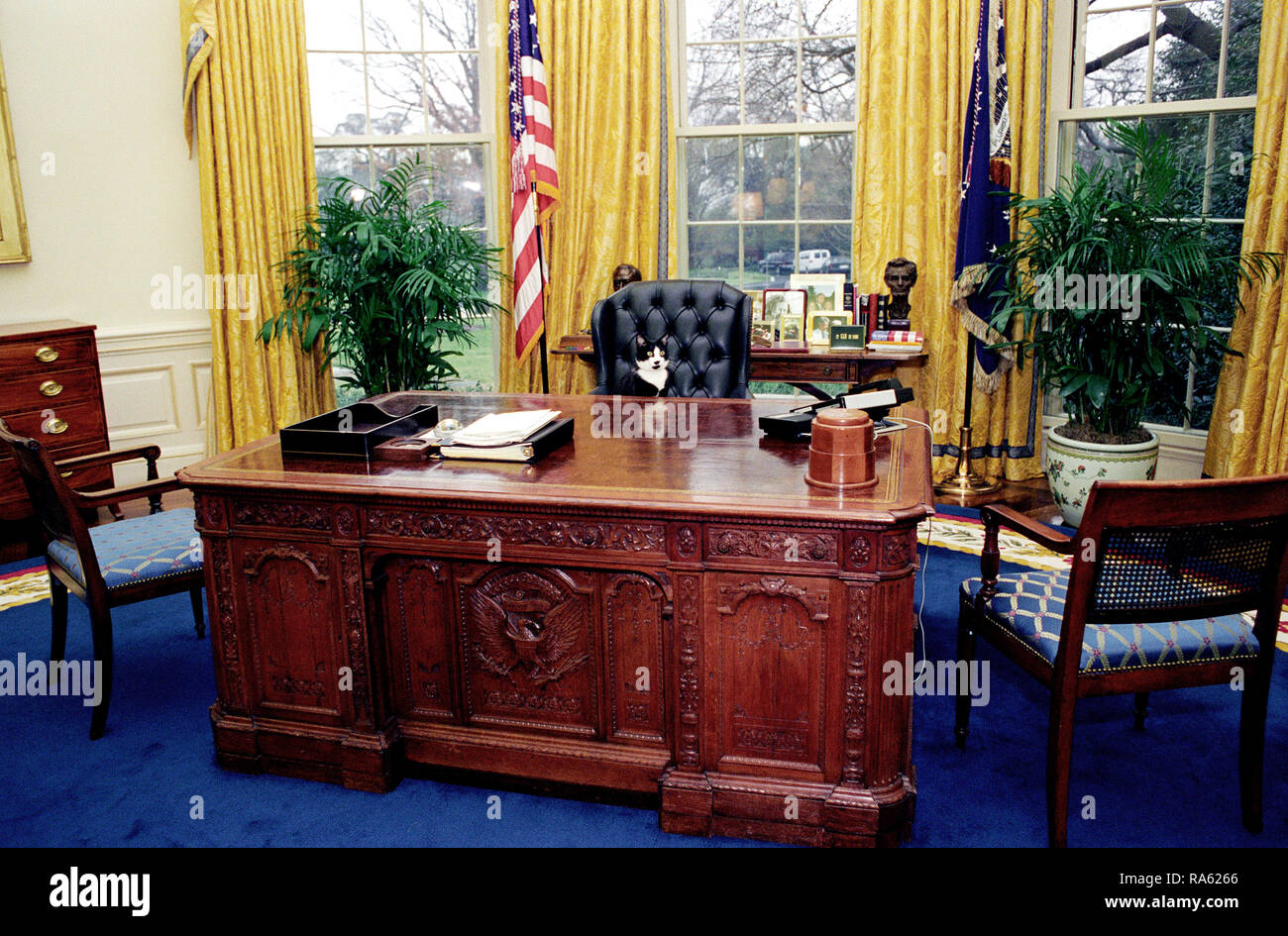 1/7/1994 - Photo de chaussettes le Chat assis derrière le bureau du président dans le bureau ovale Banque D'Images