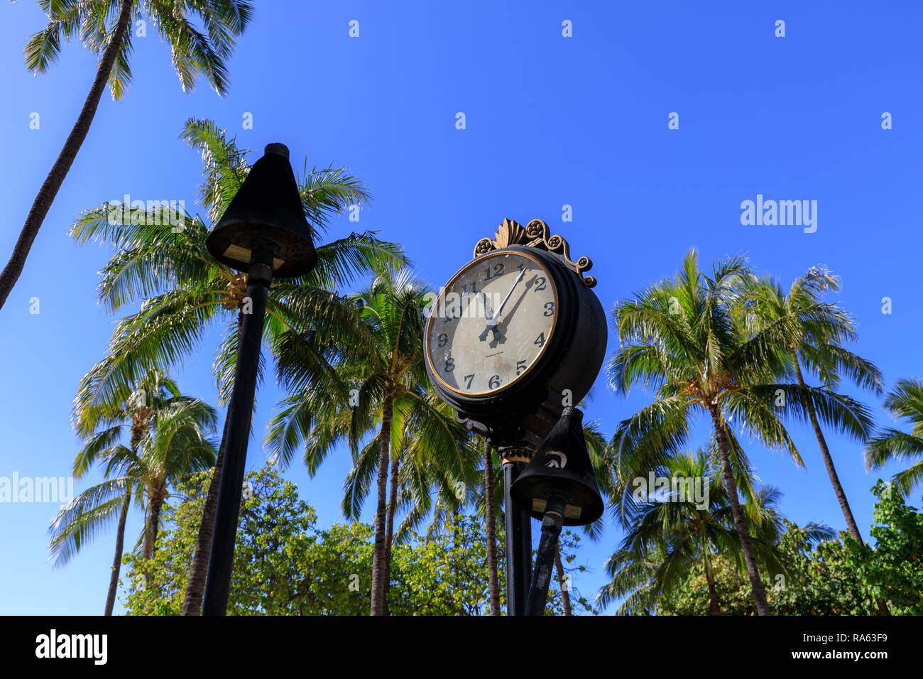 Honolulu, Hawaii - Dec 23, 2018 : ancienne horloge de l'ère victorienne  avec des arbres de noix de coco palm at Waikiki Beach Photo Stock - Alamy