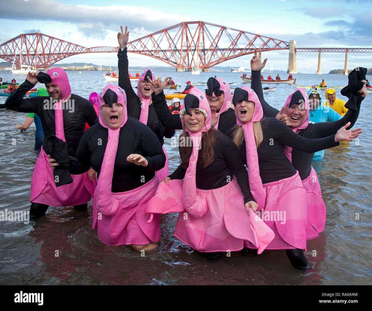 South Queensferry, Edinburgh, Scotland UK. 01 janvier 2019. Queensferry Nouvelle Année Loony Dook, l'assemblée annuelle de la Firth of Forth à l'ombre de la célèbre Forth Rail Bridge. A lieu le troisième jour de l'Edinburgh Hogmany célébrations du Nouvel An. Capacité maximale de foule Banque D'Images