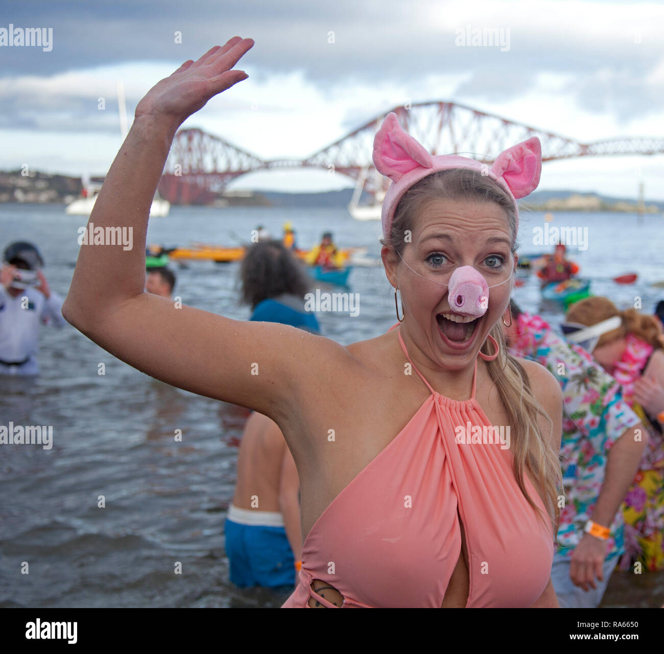 South Queensferry, Edinburgh, Scotland UK. 01 janvier 2019. Queensferry Nouvelle Année Loony Dook, l'assemblée annuelle de la Firth of Forth à l'ombre de la célèbre Forth Rail Bridge. A lieu le troisième jour de l'Edinburgh Hogmany célébrations du Nouvel An. Capacité maximale de foule Banque D'Images