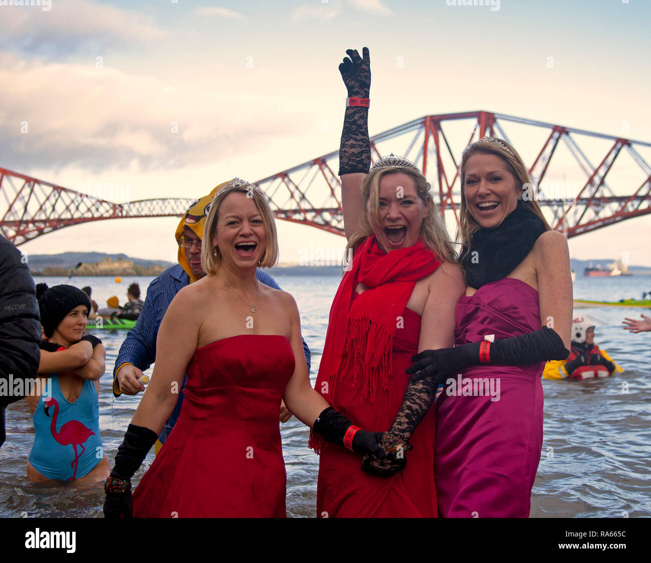 South Queensferry, Edinburgh, Scotland UK. 01 janvier 2019. Queensferry Nouvelle Année Loony Dook, l'assemblée annuelle de la Firth of Forth à l'ombre de la célèbre Forth Rail Bridge. A lieu le troisième jour de l'Edinburgh Hogmany célébrations du Nouvel An. Capacité maximale de foule Banque D'Images