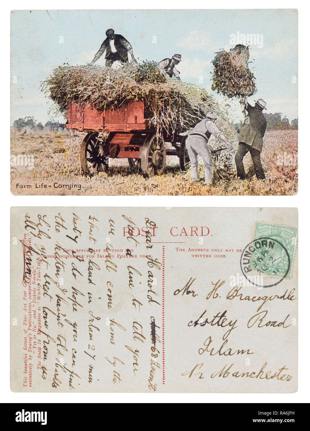 Carte postale envoyée en 1911 de Runcorn à Harold Bracegirdle, Astley Irlam Road, Manchester, montrant la vie à la ferme, l'exécution et mentionnant perdu chaton Banque D'Images