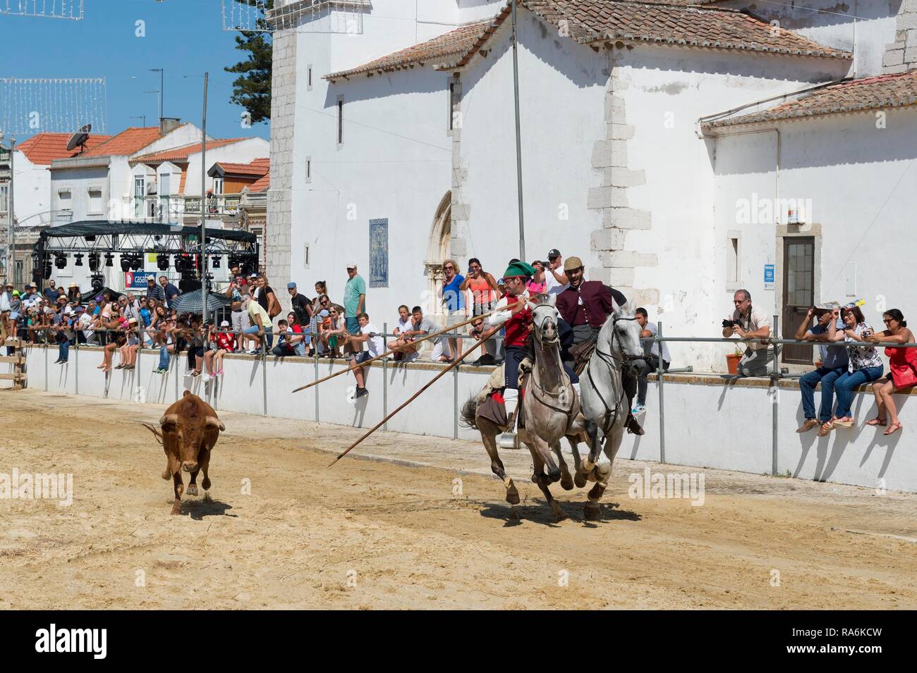 Défilé des cavaliers et des taureaux dans les rues pendant les festas do Barrete Verde e das Salinas, Alcochete, Province de Setubal Banque D'Images