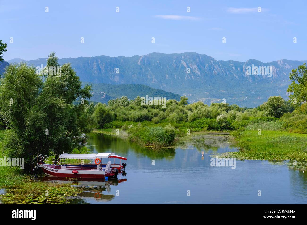 Des bateaux d'excursion, Virpazar, le lac de Skadar, Skadarsko Jezero, le parc national du lac de Skadar, par Bar, Monténégro Banque D'Images