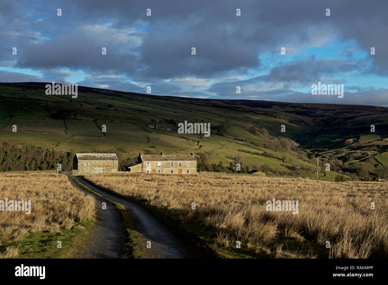 - Ferme - Maisons jaune dans Arkengarthdale, Yorkshire Dales National Park, North Yorkshire, England UK Banque D'Images