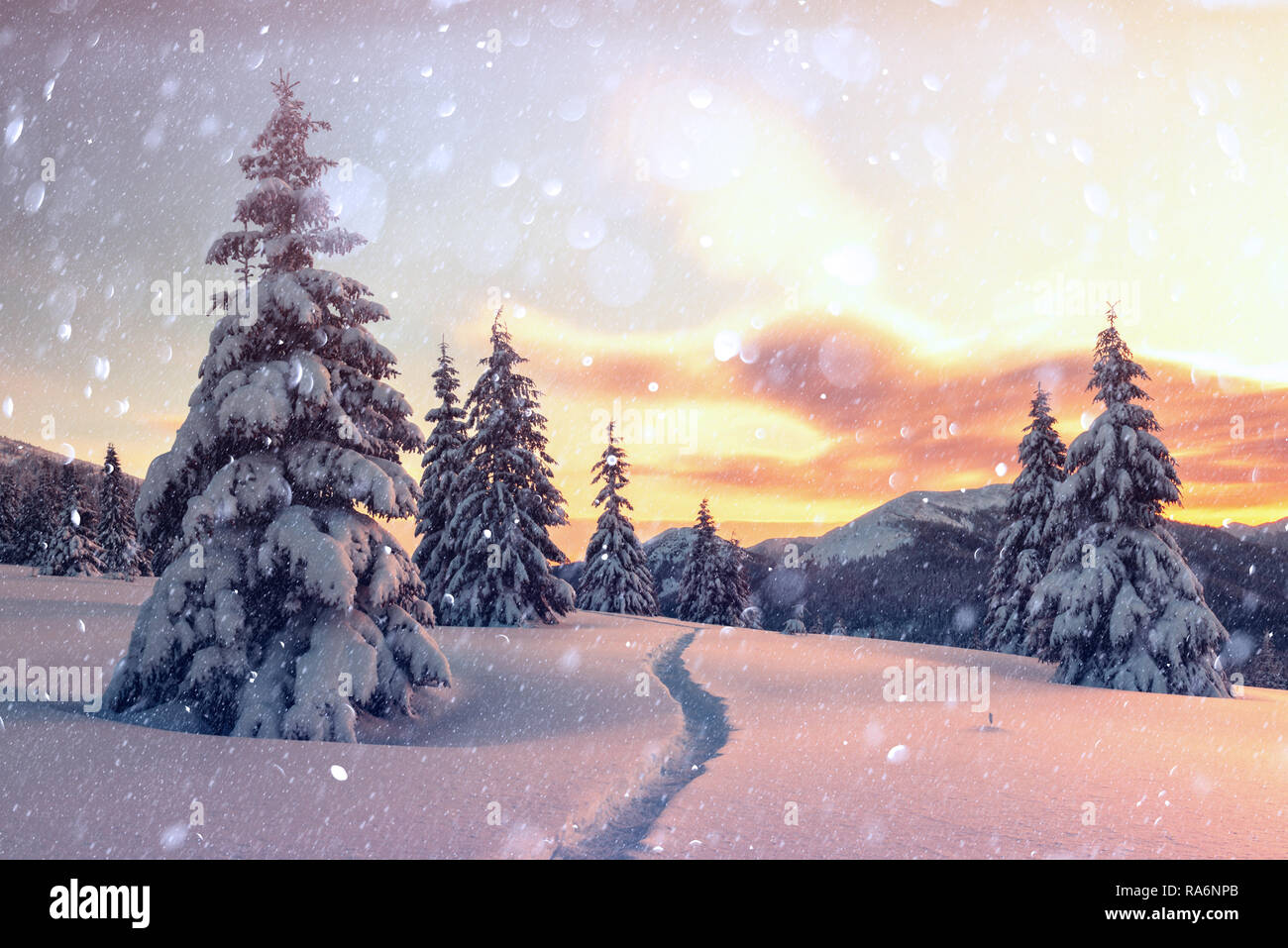 Orange fantastique paysage d'hiver dans les montagnes de neige par la lumière du soleil rougeoyant. Scène hivernale spectaculaire avec des arbres enneigés. Lumière effet bokeh DOF post-traitement. Vacances de Noël collage Banque D'Images