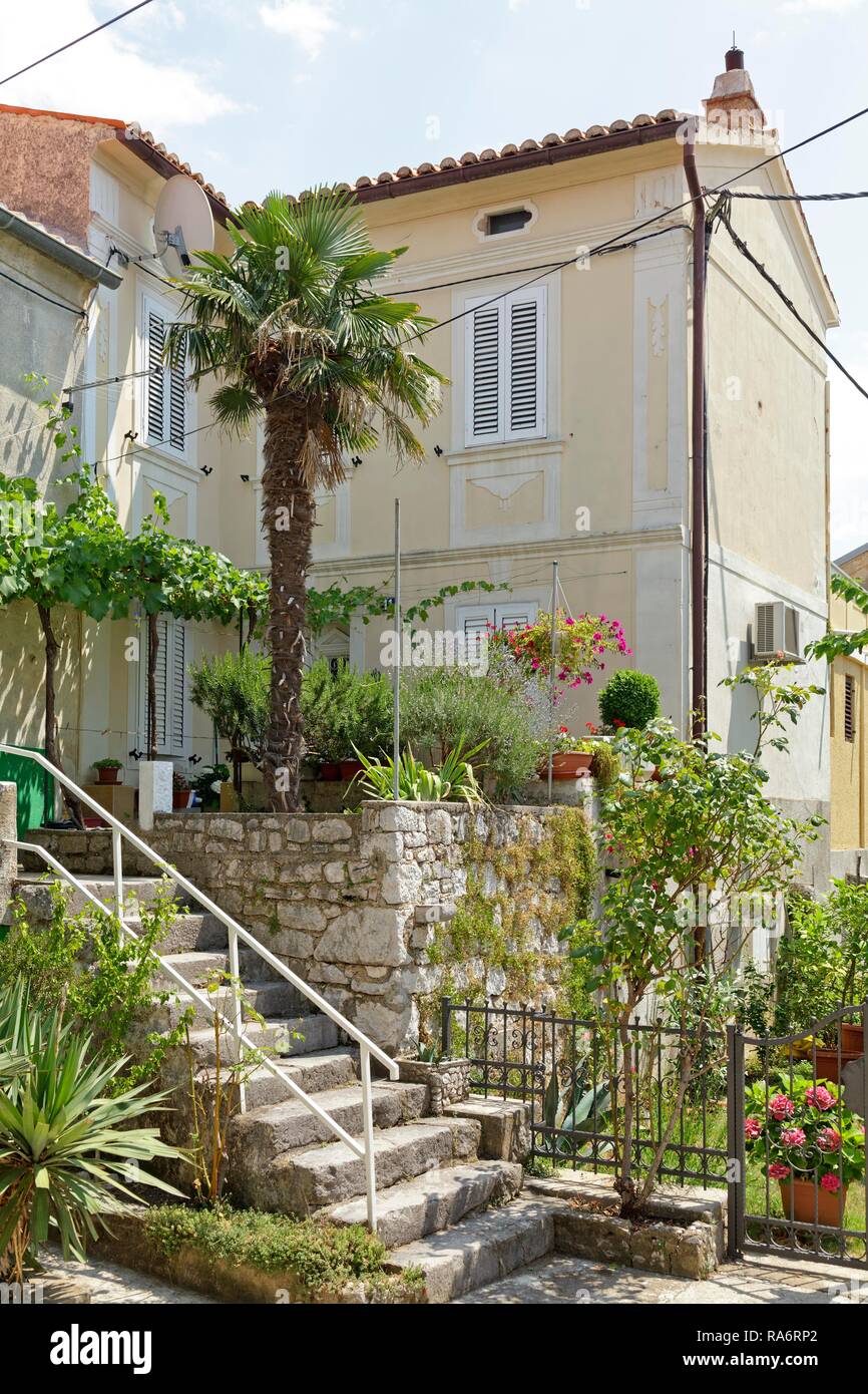 Décorations végétales sur un escalier extérieur d'une chambre, centre historique, à Omišalj, Krk, Kvarner, Croatie Golfe Banque D'Images