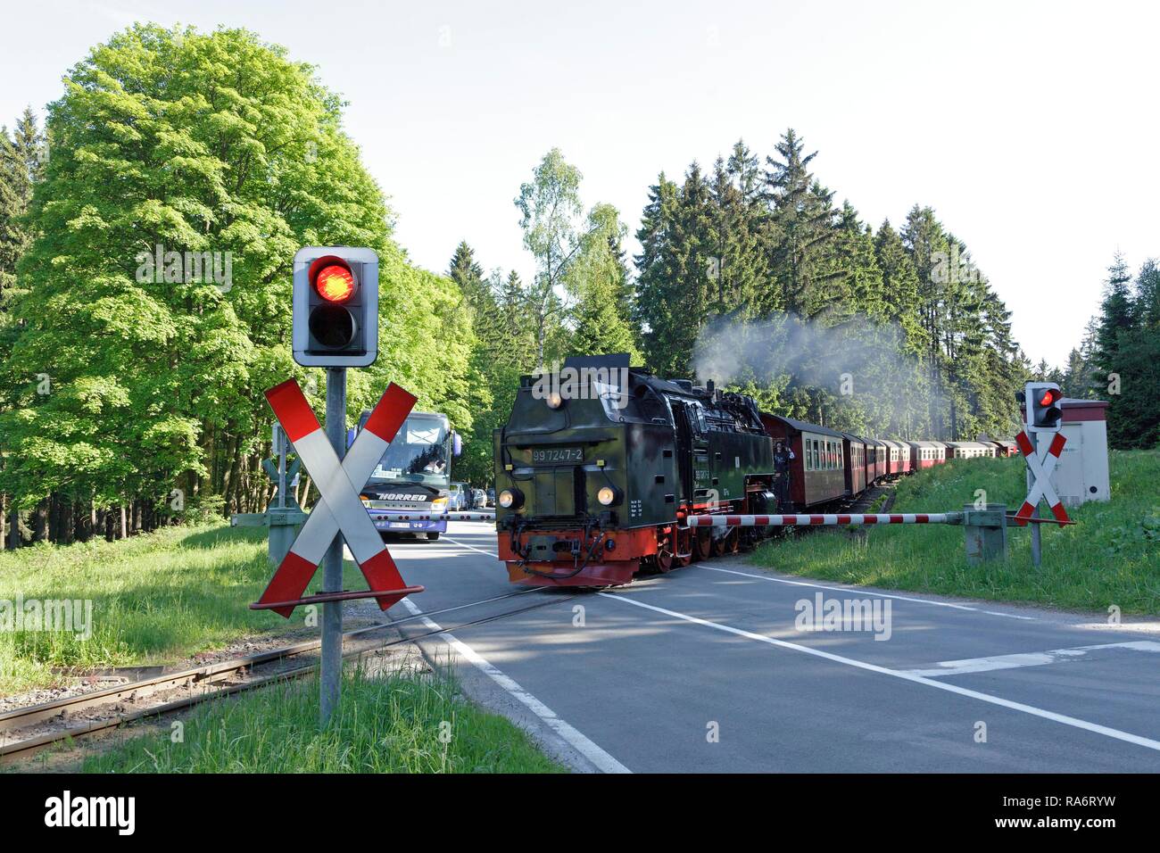 Fer Brocken, près de Drei Annen Hohne, Harz, Basse-Saxe, Allemagne Banque D'Images