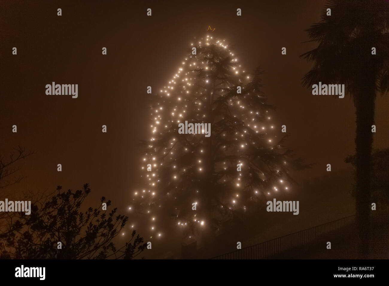 L'arbre de Noël dans le brouillard, 30173 Venezia, Italie Banque D'Images