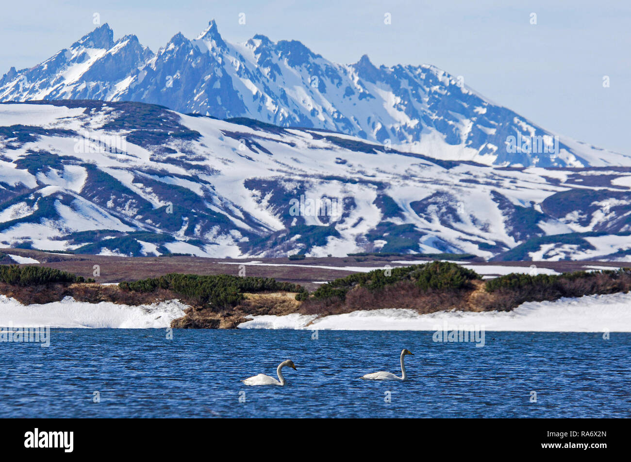 Nature de Kamchatka. Les paysages et les vues magnifiques de la péninsule du Kamchatka. La nature du Kamchatka, brûlé un volcan, une zone à proximité d'un volcan. Banque D'Images