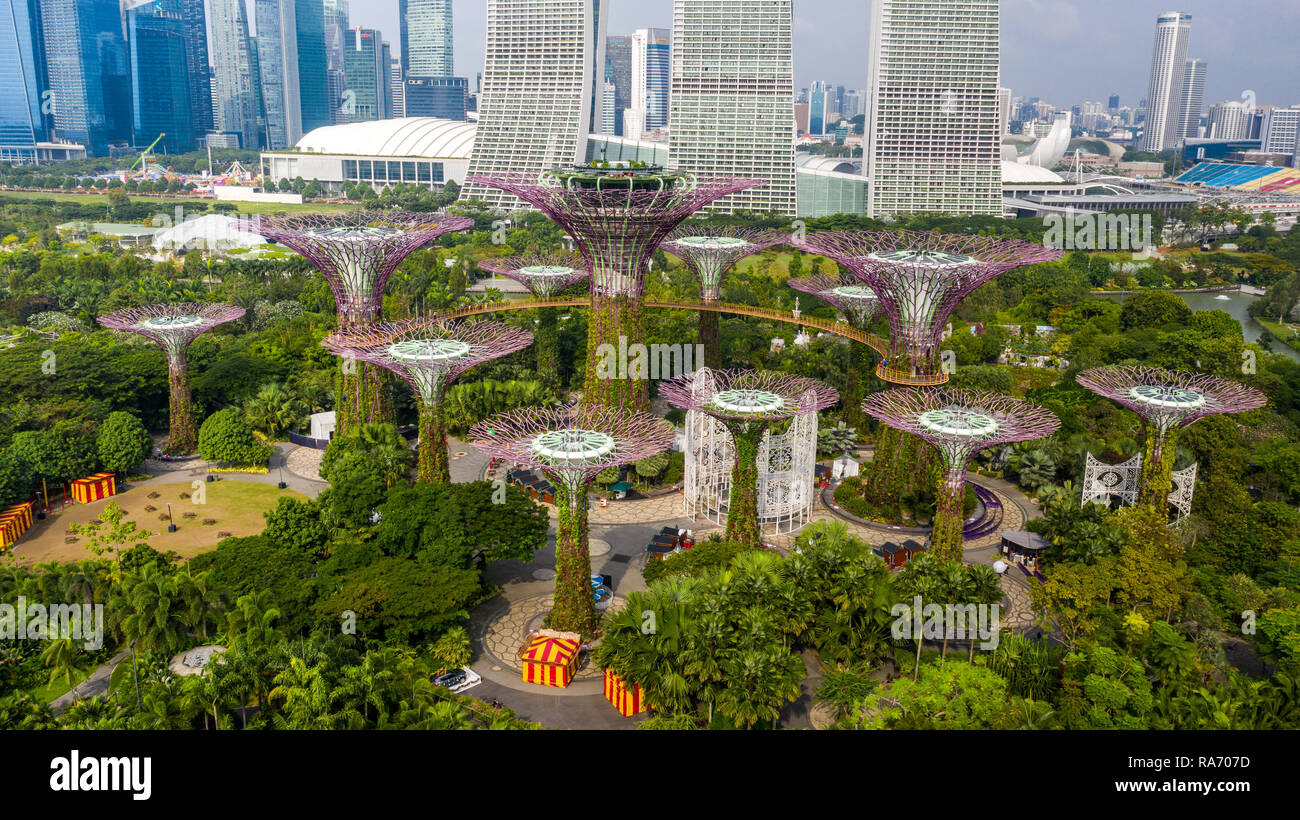 Supertree Grove, jardins de la baie, à Singapour Banque D'Images