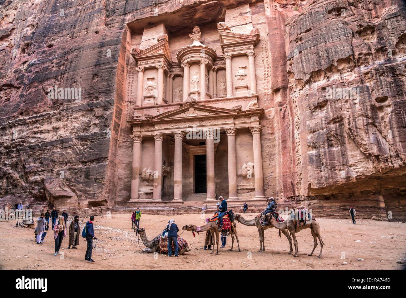 Les chameaux en face de la maison du trésor de Pharaon Khazne al-Firaun, Petra, Jordanie Banque D'Images