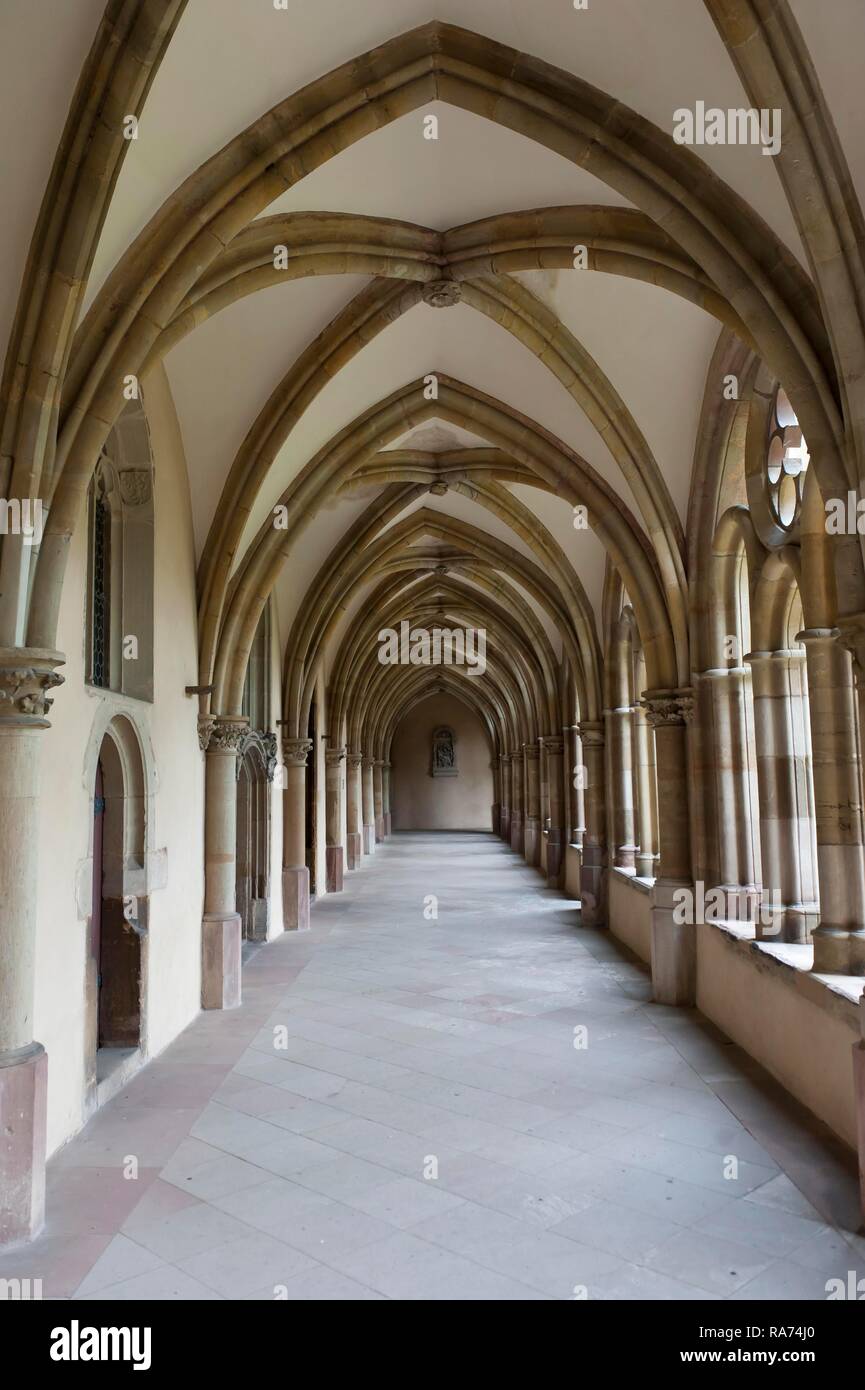 Le cloître, la cathédrale de Trèves, Hohe Domkirche St. Peter zu Trèves, Rhénanie-Palatinat, Allemagne Banque D'Images
