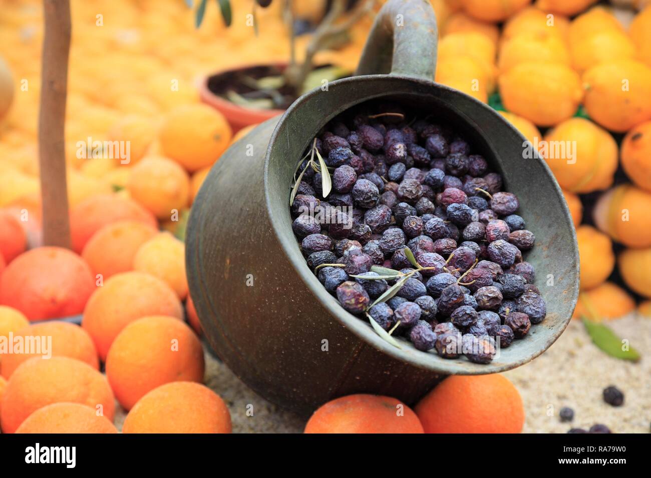 Pot d'olives entouré par les oranges et citrons, Fête du Citron, Fete du citron, Menton, France, Europe Banque D'Images