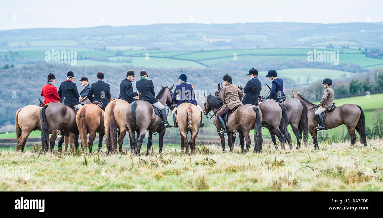 Riders à la chasse Banque D'Images