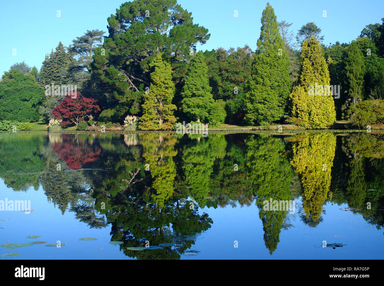 Couleurs d'automne dans la région de Sheffield Park Gardens, East Sussex, UK Banque D'Images