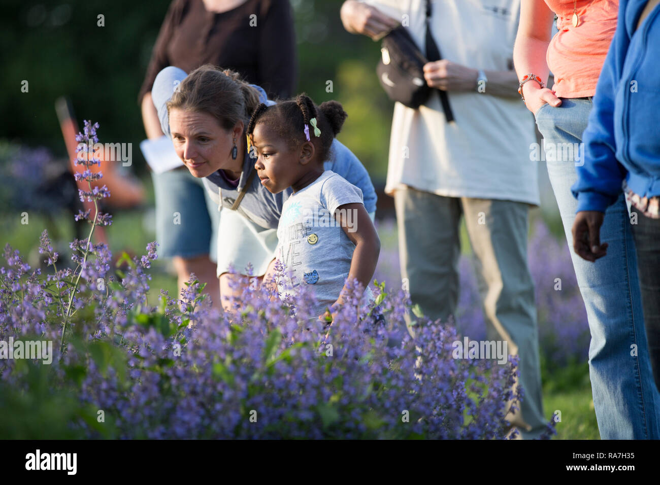 Une femme d'âge moyen se penche pour regarder quelque chose avec une jeune fille dans un jardin de fleurs de la communauté Banque D'Images