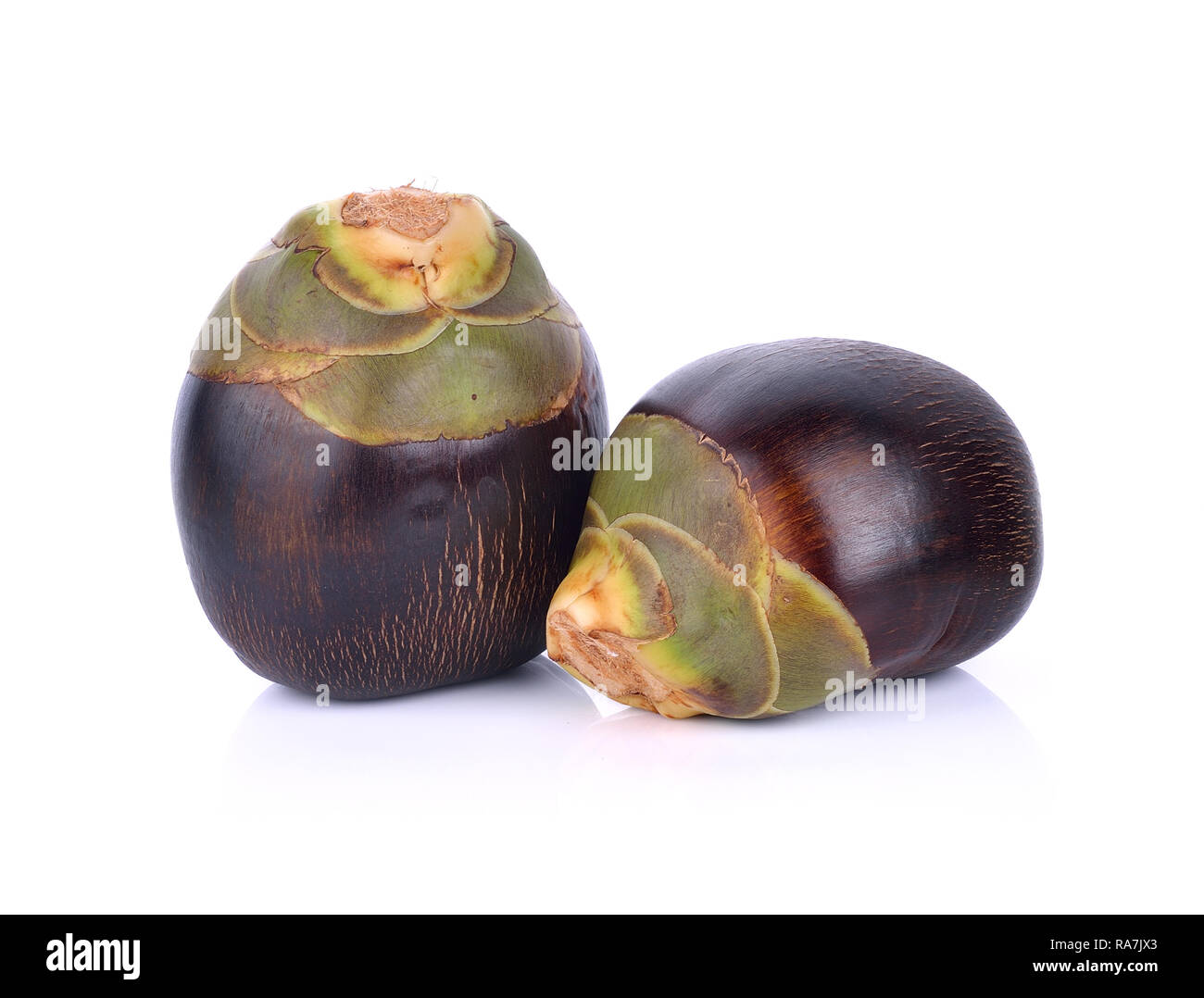 Palmyre asiatique Palm, Palm Toddy, le Sugar Palm et palm cambodgien Banque D'Images