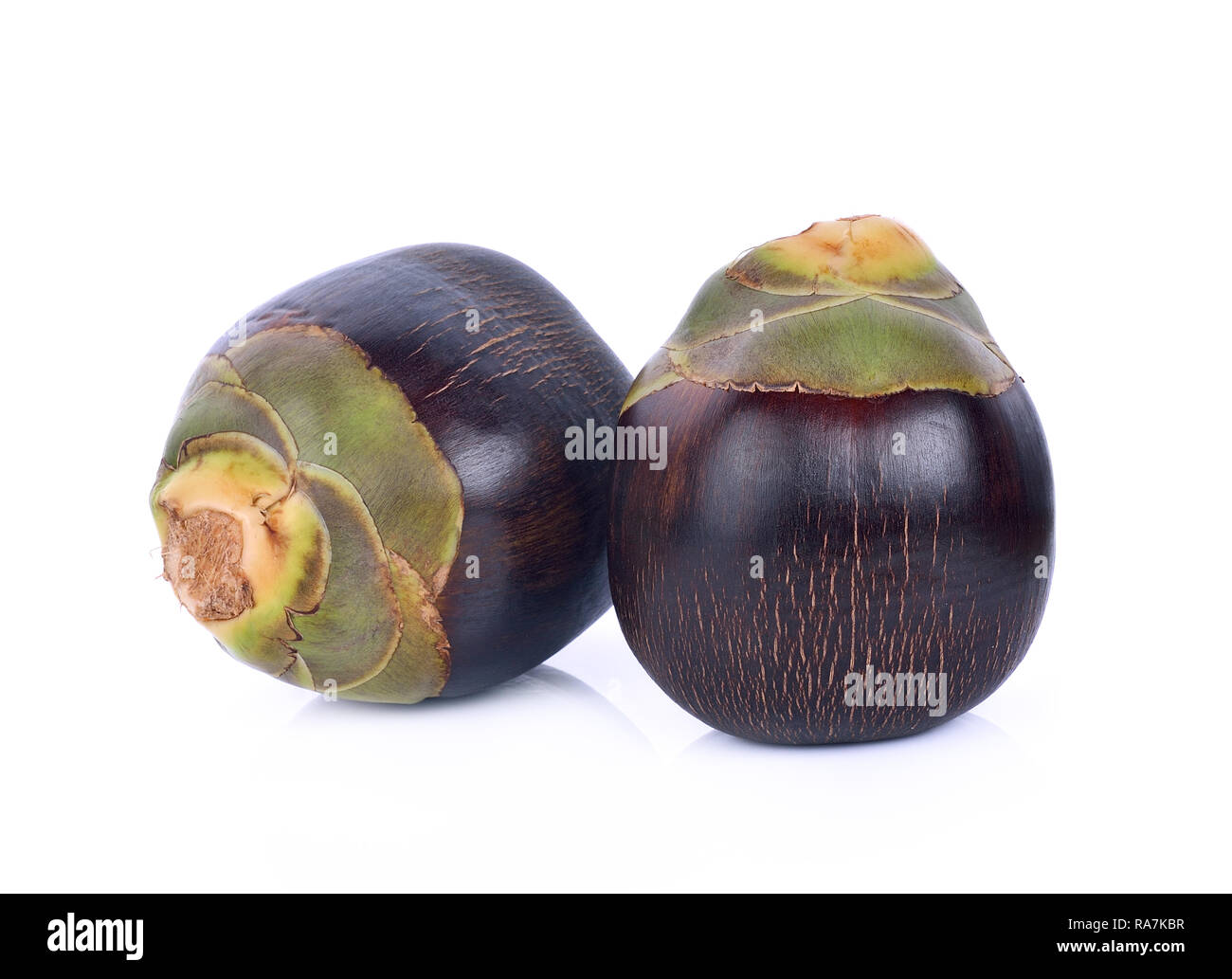 Palmyre asiatique Palm, Palm Toddy, le Sugar Palm et palm cambodgien Banque D'Images