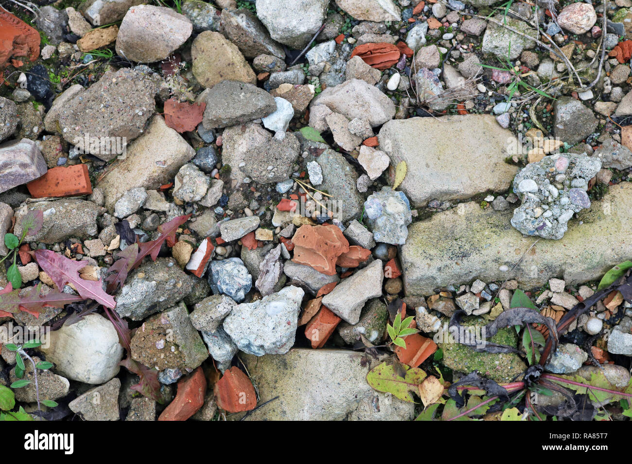 Morceaux du casse briques et béton utilisés polluent la forêt en arrière-plan de surface Banque D'Images