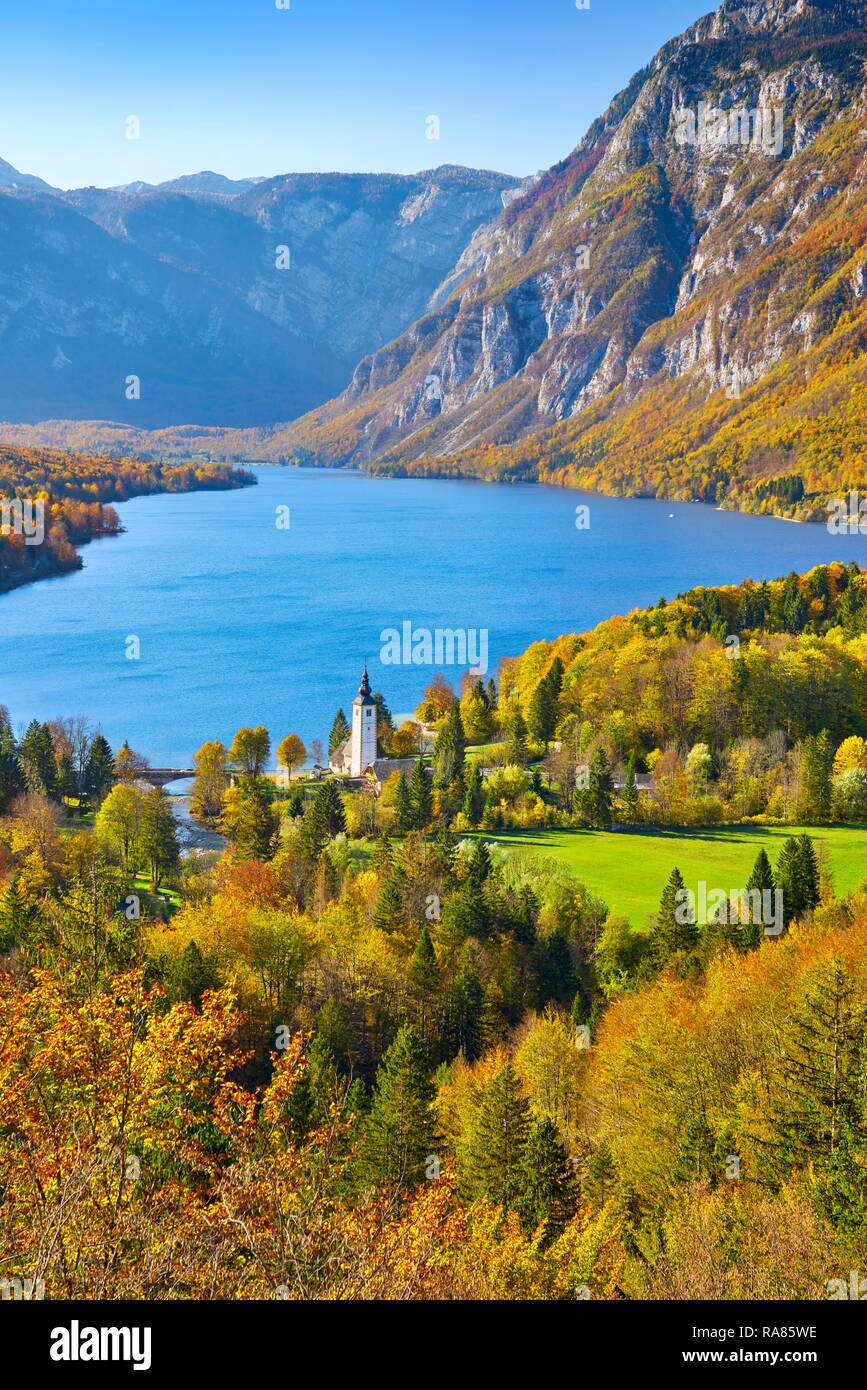 Le lac de Bohinj, parc national du Triglav, en Slovénie Banque D'Images