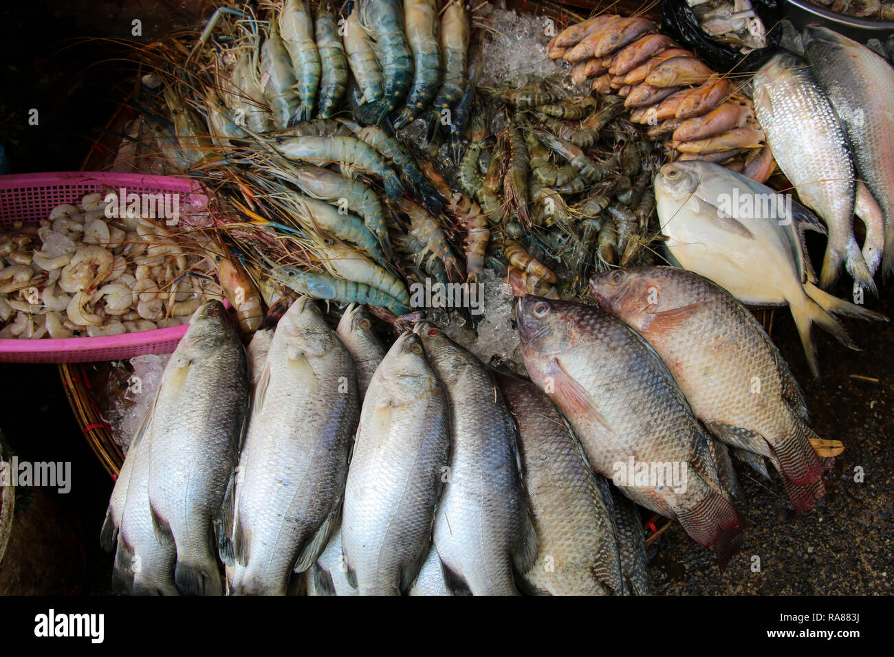 Marché de fruits de mer frais au Myanmar, en Asie Banque D'Images