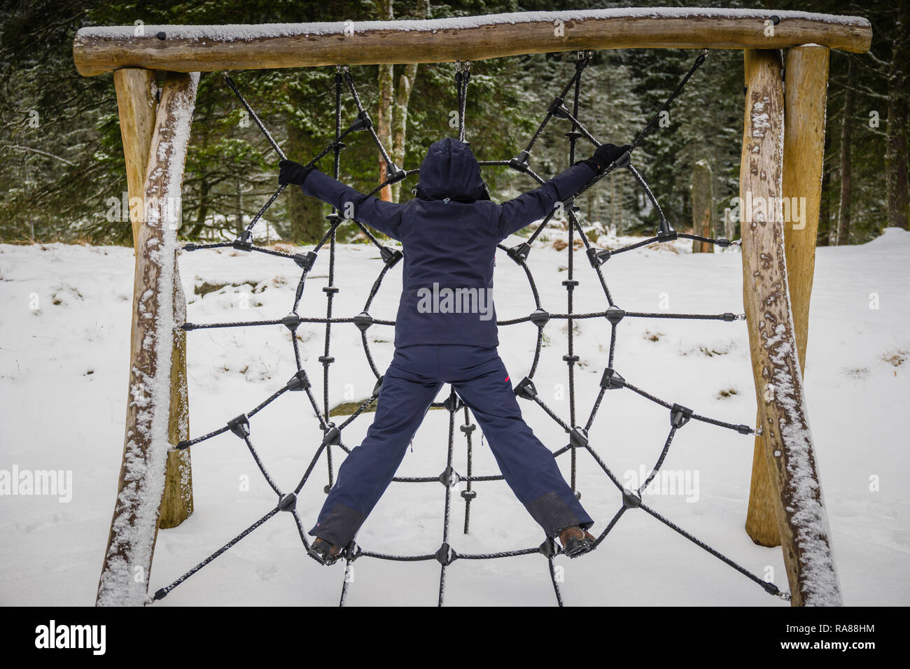 Web Spiders escalade, mont Floyen, Bergen, Norvège. Banque D'Images