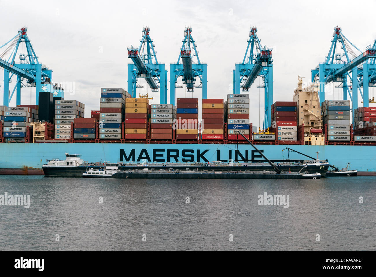 ROTTERDAM - Aug 23, 2017 : Maersk container ship amarré dans le Maasvlakte 2 dans le port de Rotterdam. Banque D'Images ROTTERDAM - Aug 23, 2017 : Maersk container ship amarré dans le Maasvlakte 2 dans le port de Rotterdam. Banque D'Images