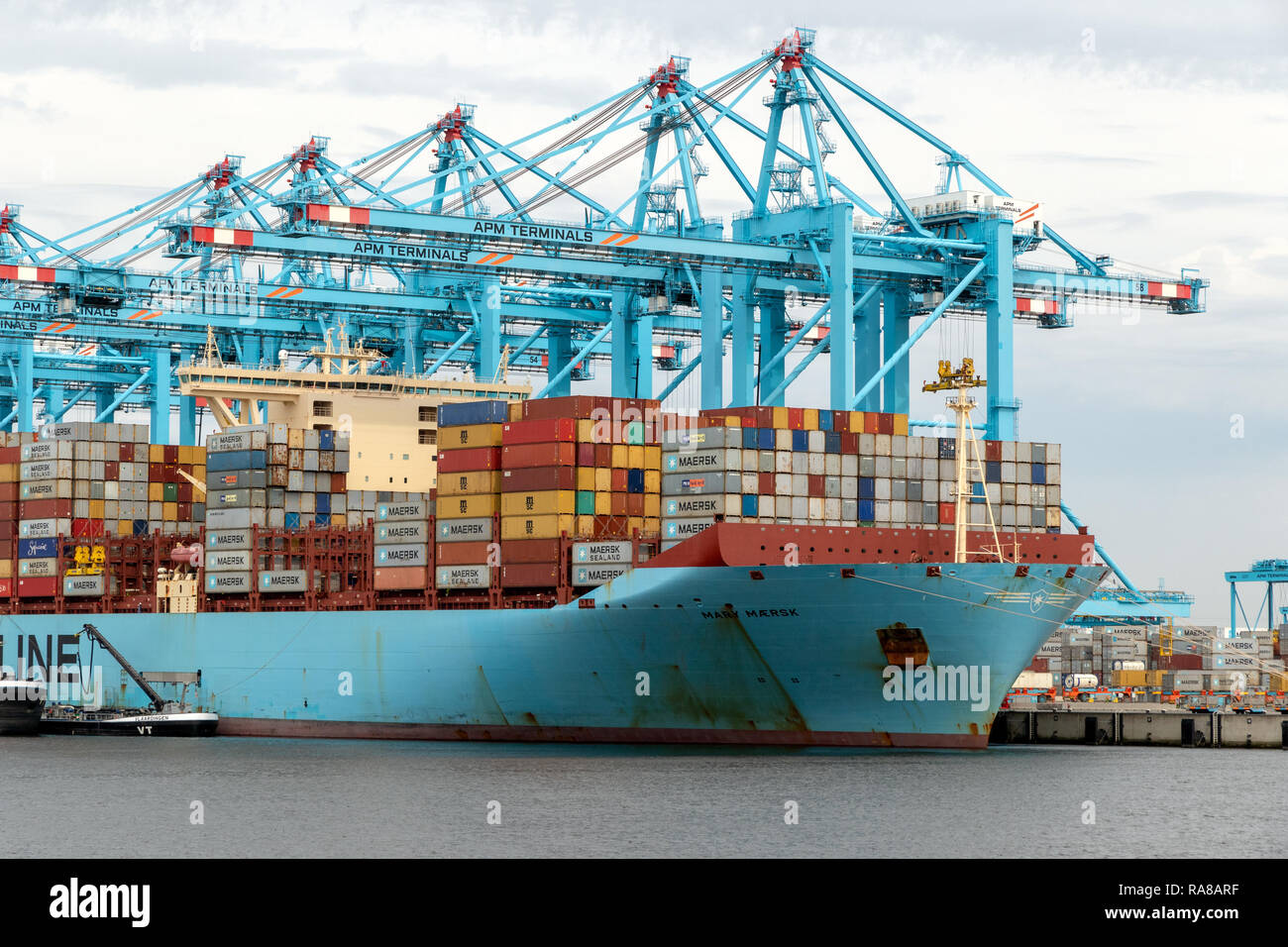 ROTTERDAM - Aug 23, 2017 : Maersk container ship amarré dans le Maasvlakte 2 dans le port de Rotterdam. Banque D'Images