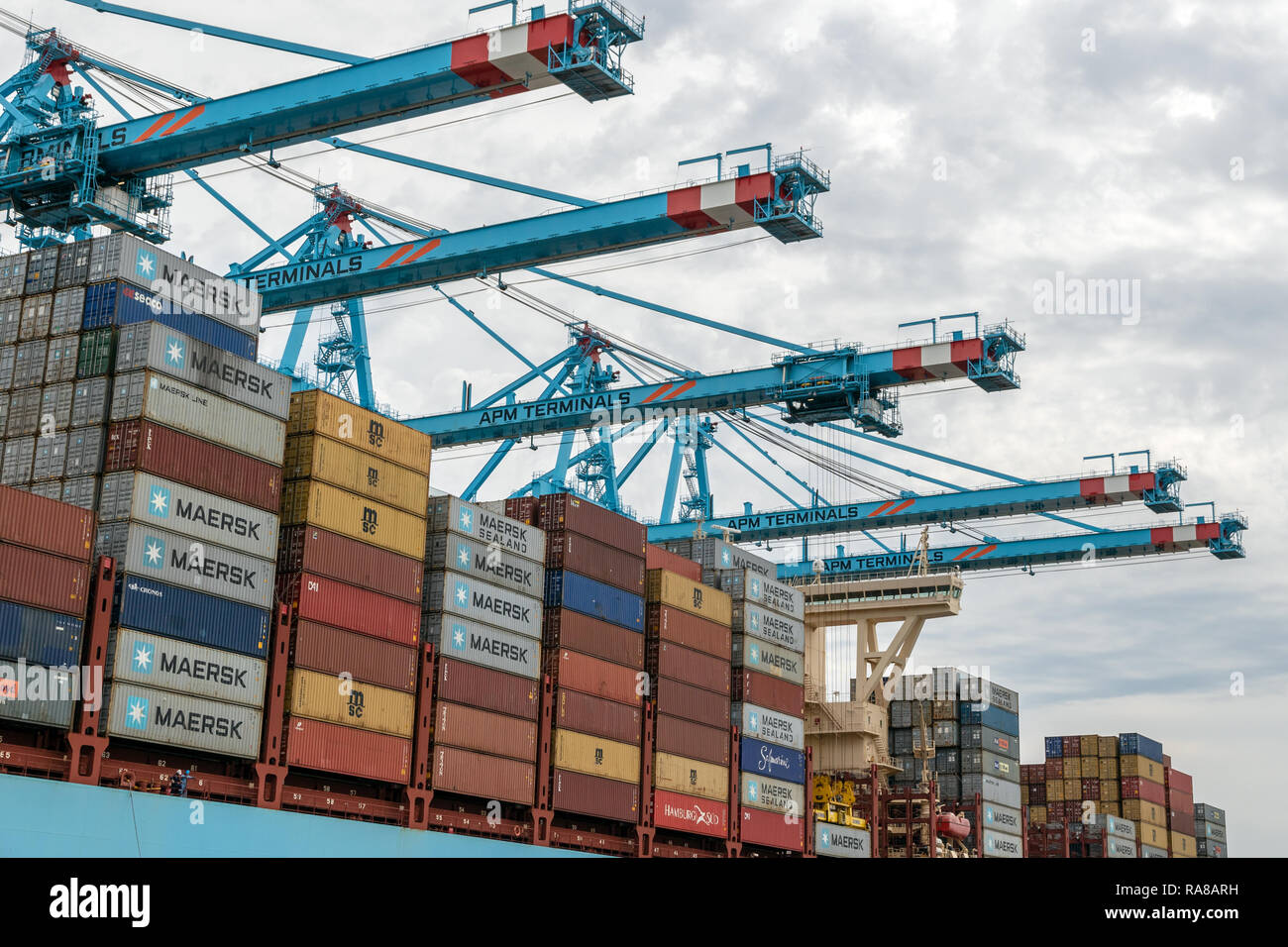 ROTTERDAM - Aug 23, 2017 : Maersk container ship amarré dans le Maasvlakte 2 dans le port de Rotterdam. Banque D'Images ROTTERDAM - Aug 23, 2017 : Maersk container ship amarré dans le Maasvlakte 2 dans le port de Rotterdam. Banque D'Images
