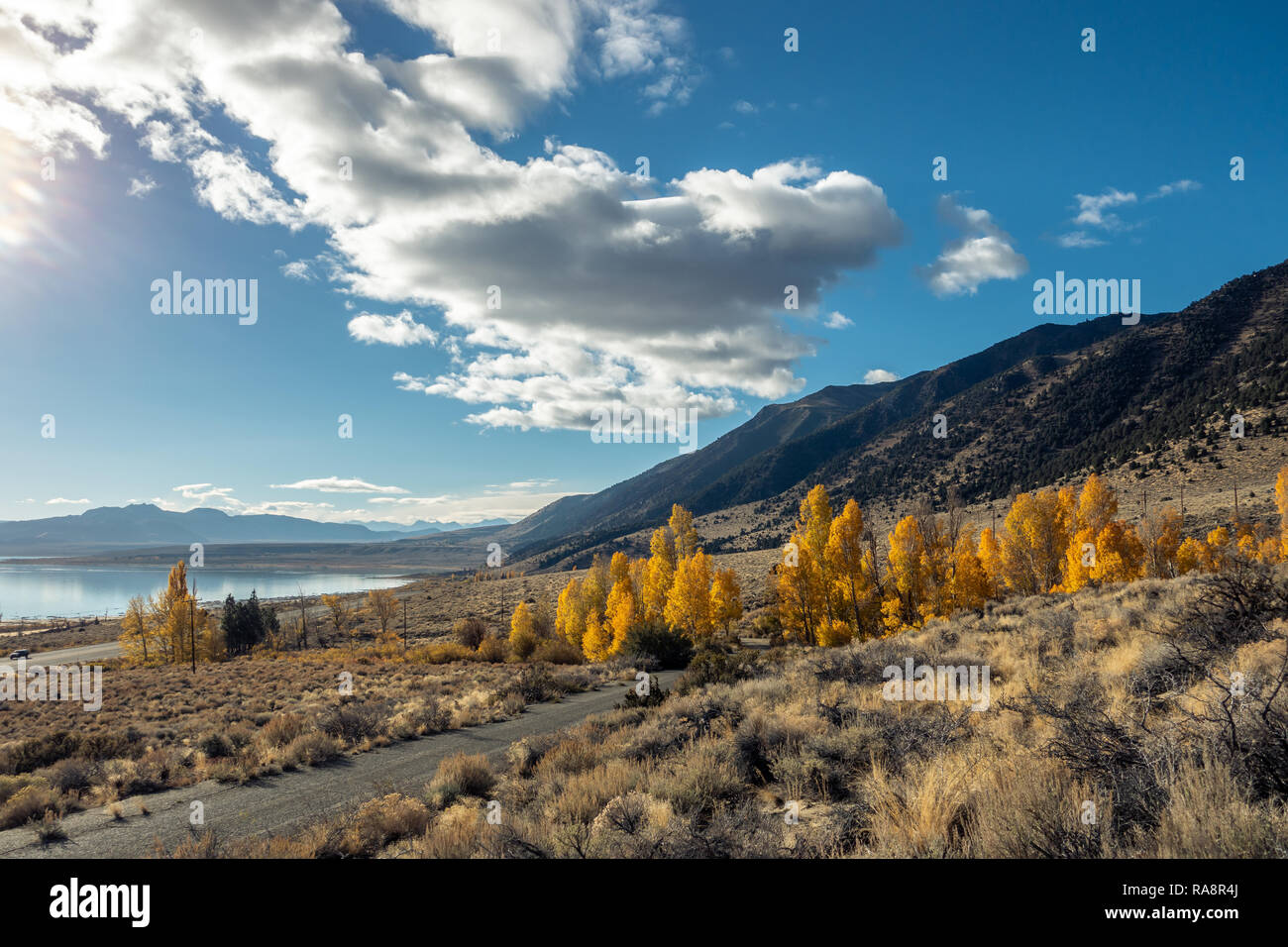 L'Est de la Sierra de couleur à l'Automne, lac Mono, Lee Vining, Californie Banque D'Images