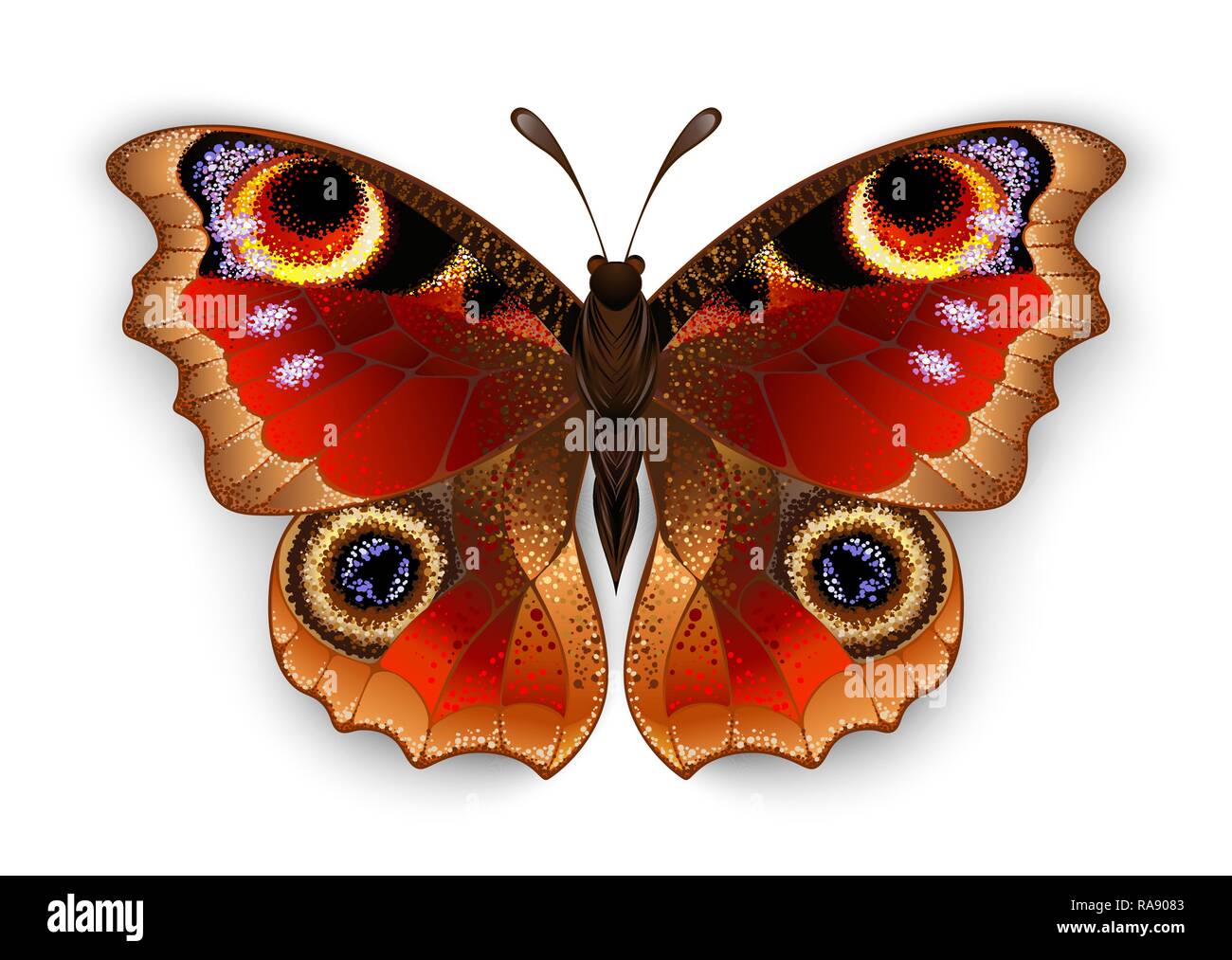 Red, réaliste, artistiquement peintes, Butterfly peacock eye sur fond blanc. Illustration de Vecteur