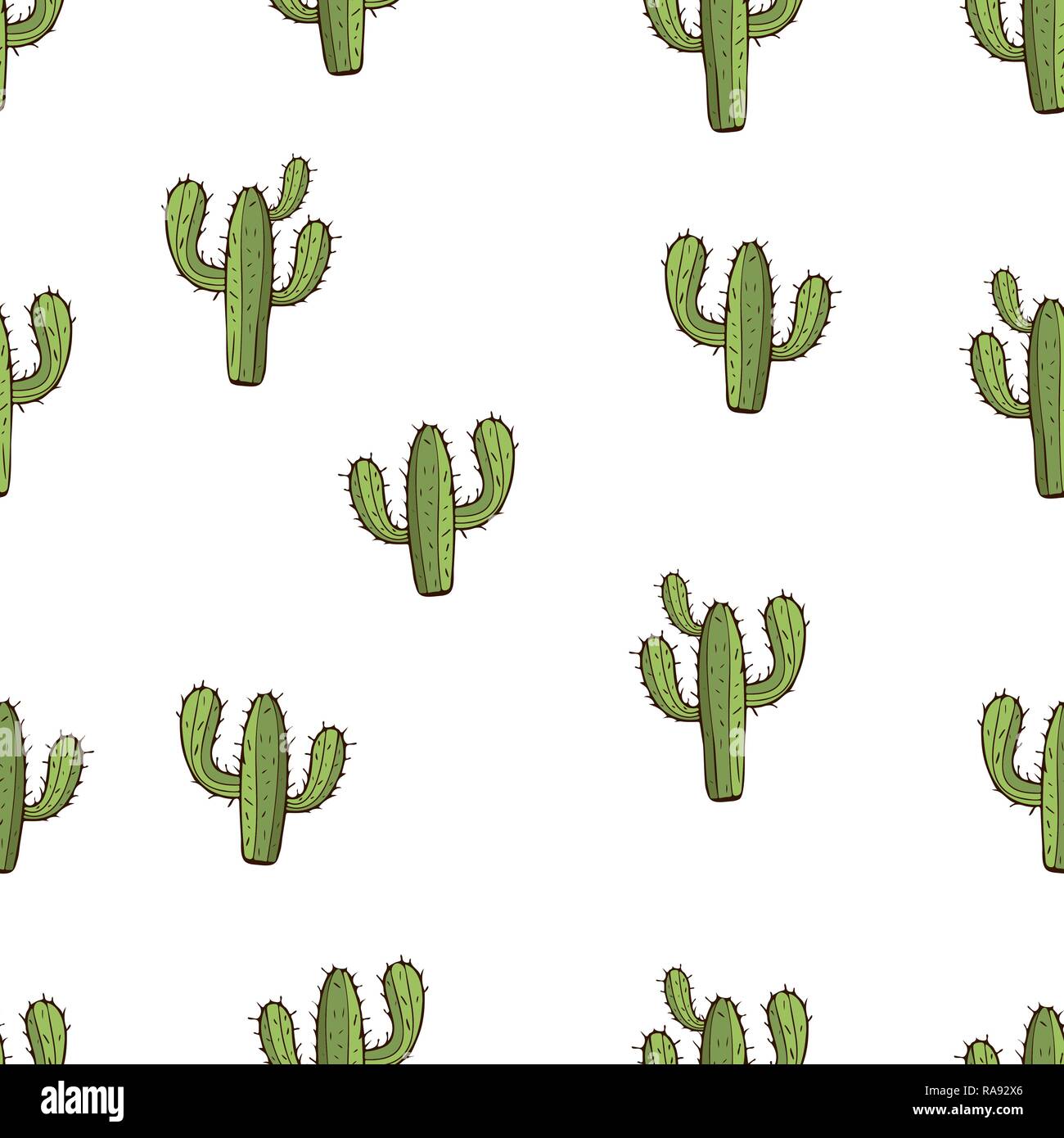 Transparente Modele Cactus Dessin A La Main Vector Illustration Peint En Vert Peyote Avec Crampons Sur Fond Blanc Pour Les Dessins De Tissu Tissu Papier Peint Image Vectorielle Stock Alamy