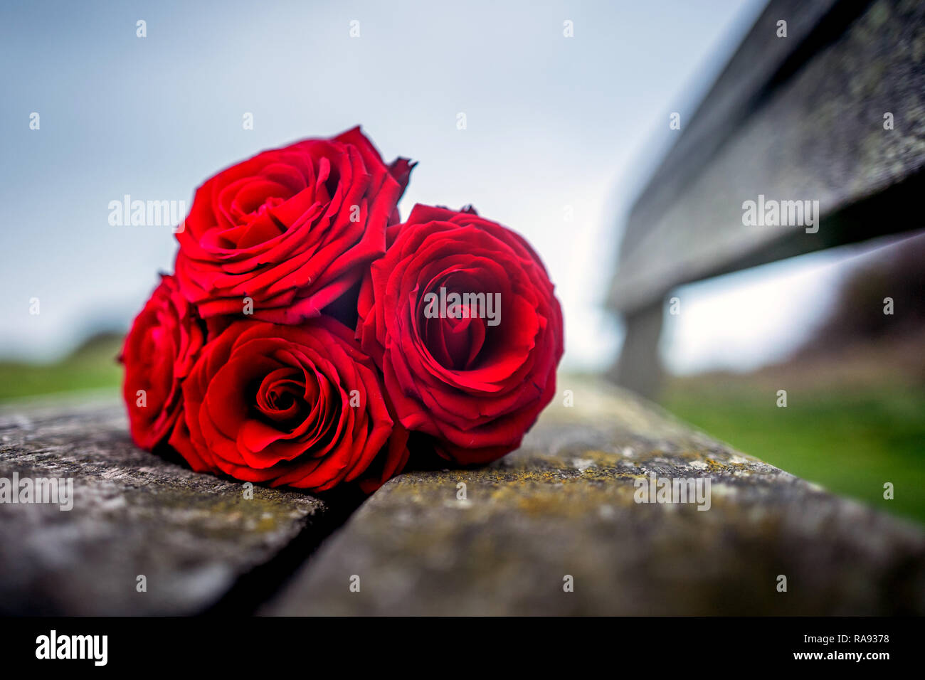 Des fleurs en mémoire d'un être cher Banque D'Images