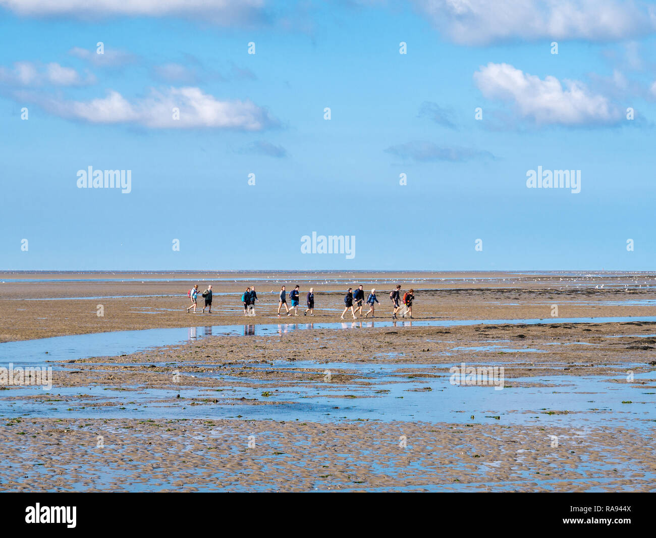 Groupe de personnes de boue randonnée sur mer des Wadden à marée basse à partir de la frise à l'Ouest île Ameland, Pays-Bas Banque D'Images