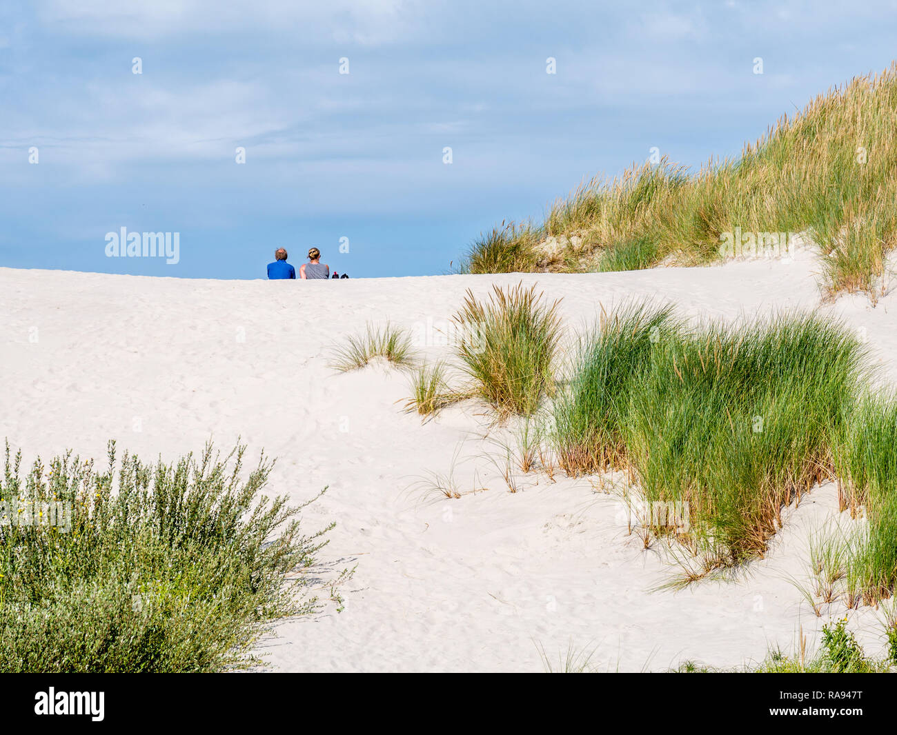 Vue arrière de deux personnes siégeant ensemble détente sur dune de sable en réserve naturelle Het Oerd sur l'île de Frise occidentale, Frise, Pays-Bas Banque D'Images