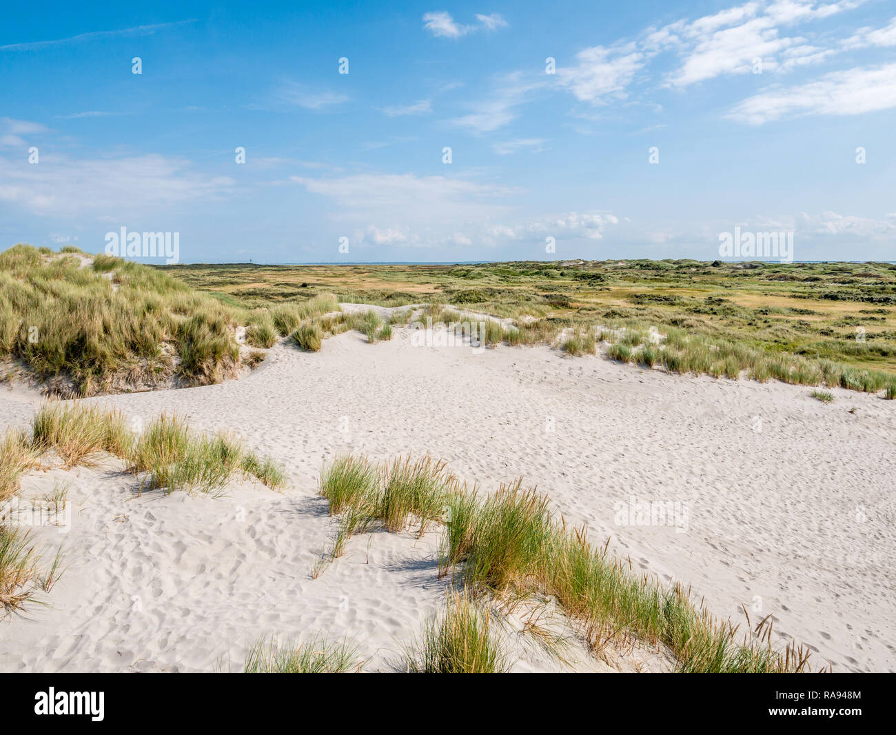 Vue panoramique du paysage de dunes de sable en réserve naturelle Het Oerd sur l'île de Frise occidentale, Frise, Pays-Bas Banque D'Images