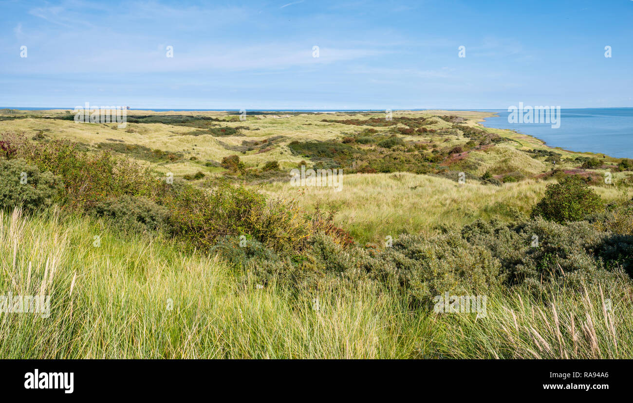 Panorama de dunes, Mer du Nord et de la réserve naturelle de la côte de Wadden Het Oerd sur l'île de Frise occidentale, Frise, Pays-Bas Banque D'Images