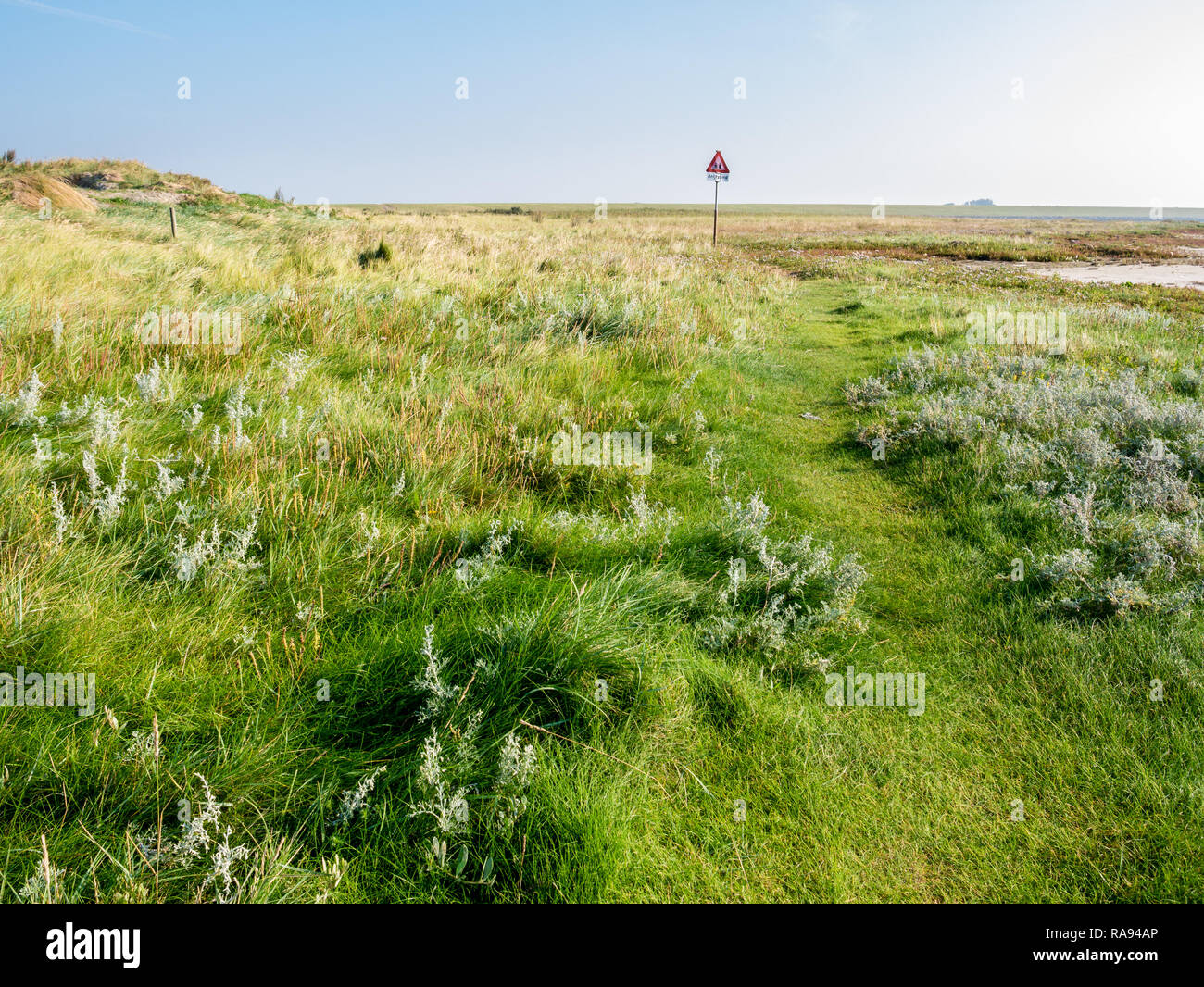 Panneau d'avertissement pour les sables mouvants dangereux dans les marais salés de la côte ouest de l'île de Schiermonnikoog frisonne à marée basse de la mer des Wadden, Pays-Bas Banque D'Images