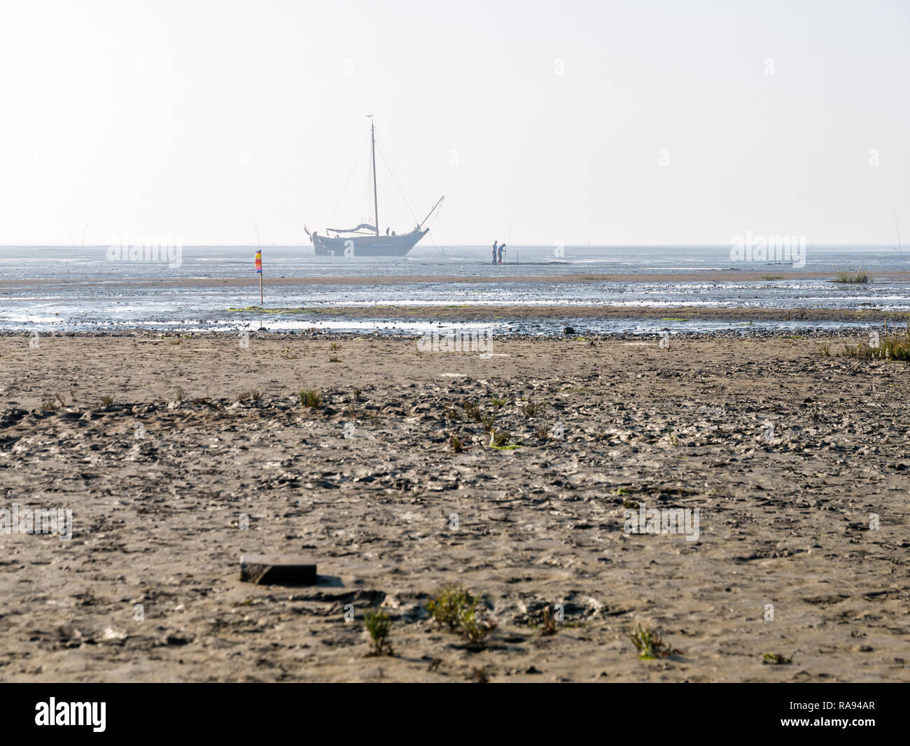 Les personnes à la recherche de mollusques dans des vasières et séché, voilier à marée basse, près de la mer des Wadden frisonnes Ouest île de Schiermonnikoog, Pays-Bas Banque D'Images